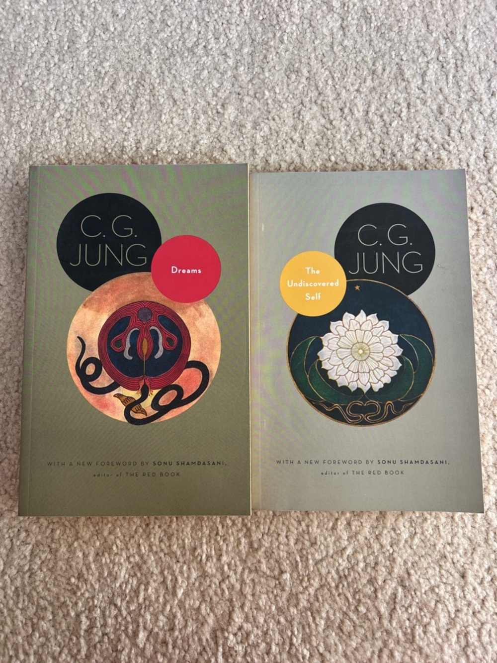 Carl Jung 2 Book Bundle: Dreams & The Undiscovered Self